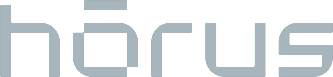 Hórus Consulting